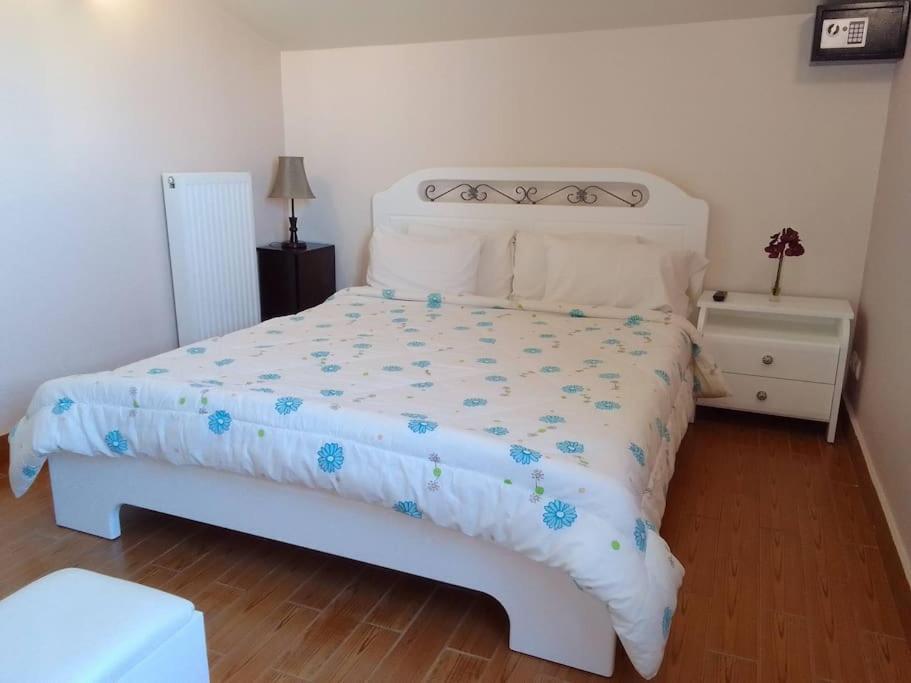 Sofita Di Sofo Apartment คอสทาวน์ ภายนอก รูปภาพ